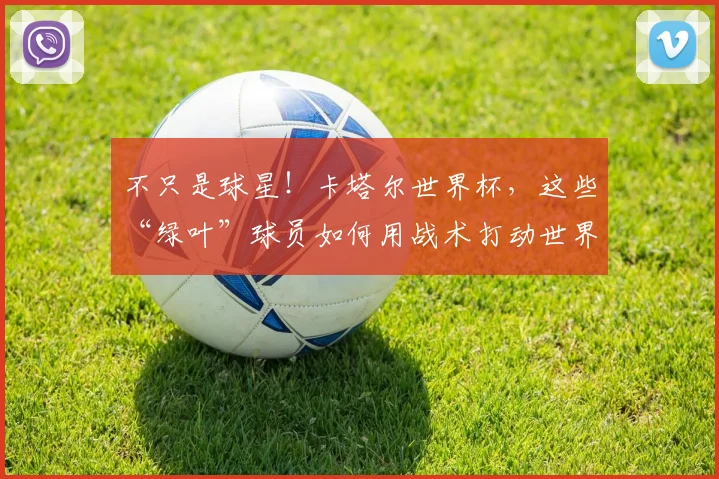 不只是球星!卡塔尔世界杯,这些“绿叶”球员如何用战术打动世界