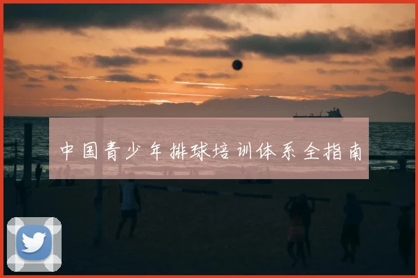 中国青少年排球培训体系全指南