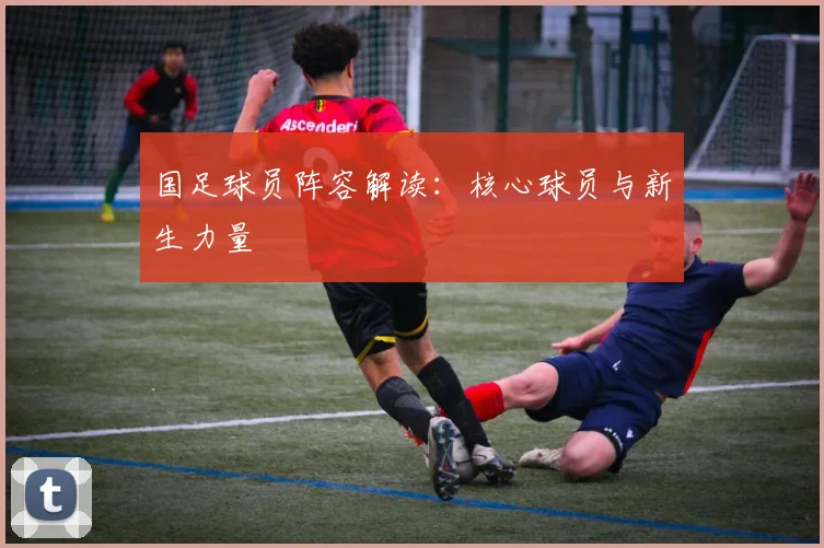 国足球员阵容解读：核心球员与新生力量