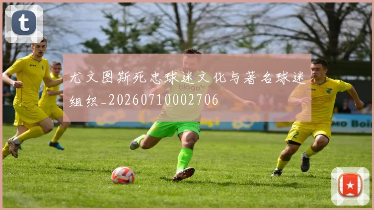 尤文图斯死忠球迷文化与著名球迷组织_20260710002706